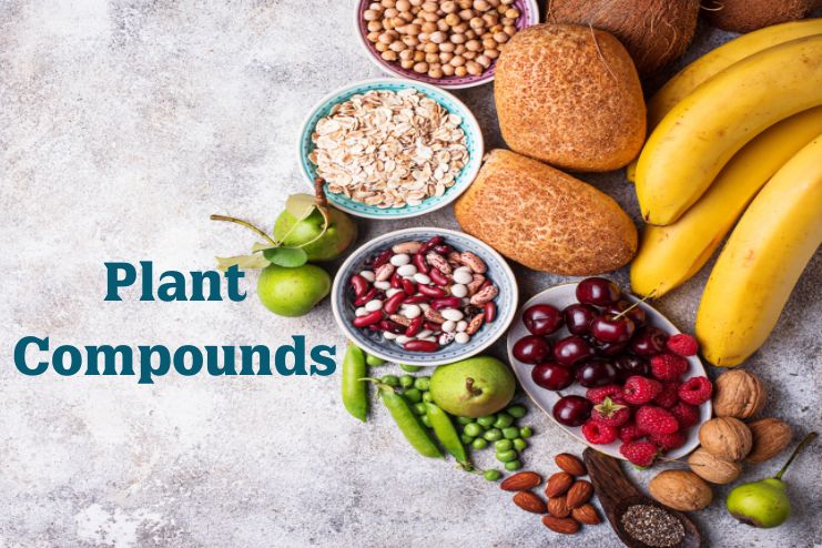 Plant Compounds