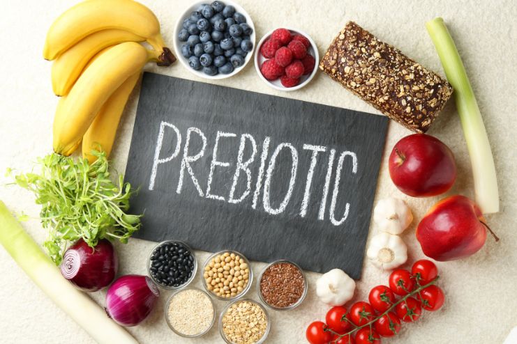 Prebiotics and Fiber