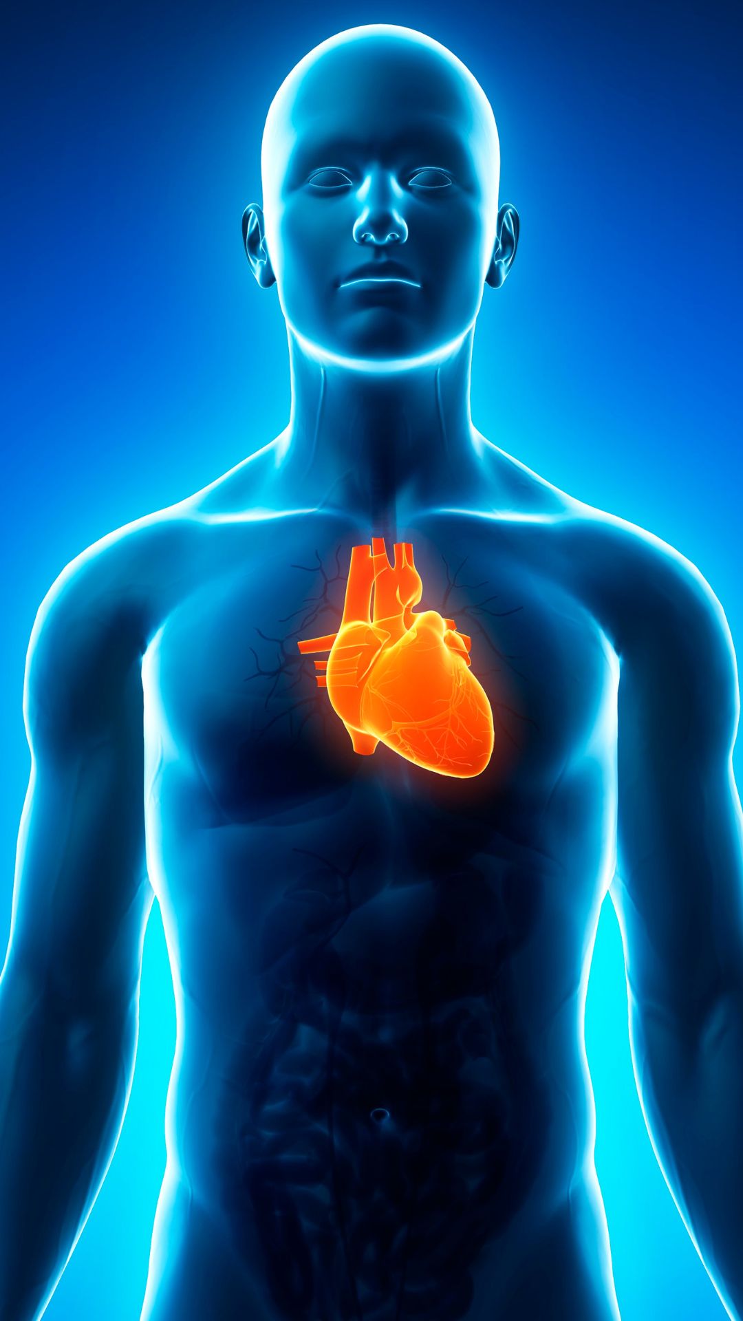 chickpeas for cardiovascular health