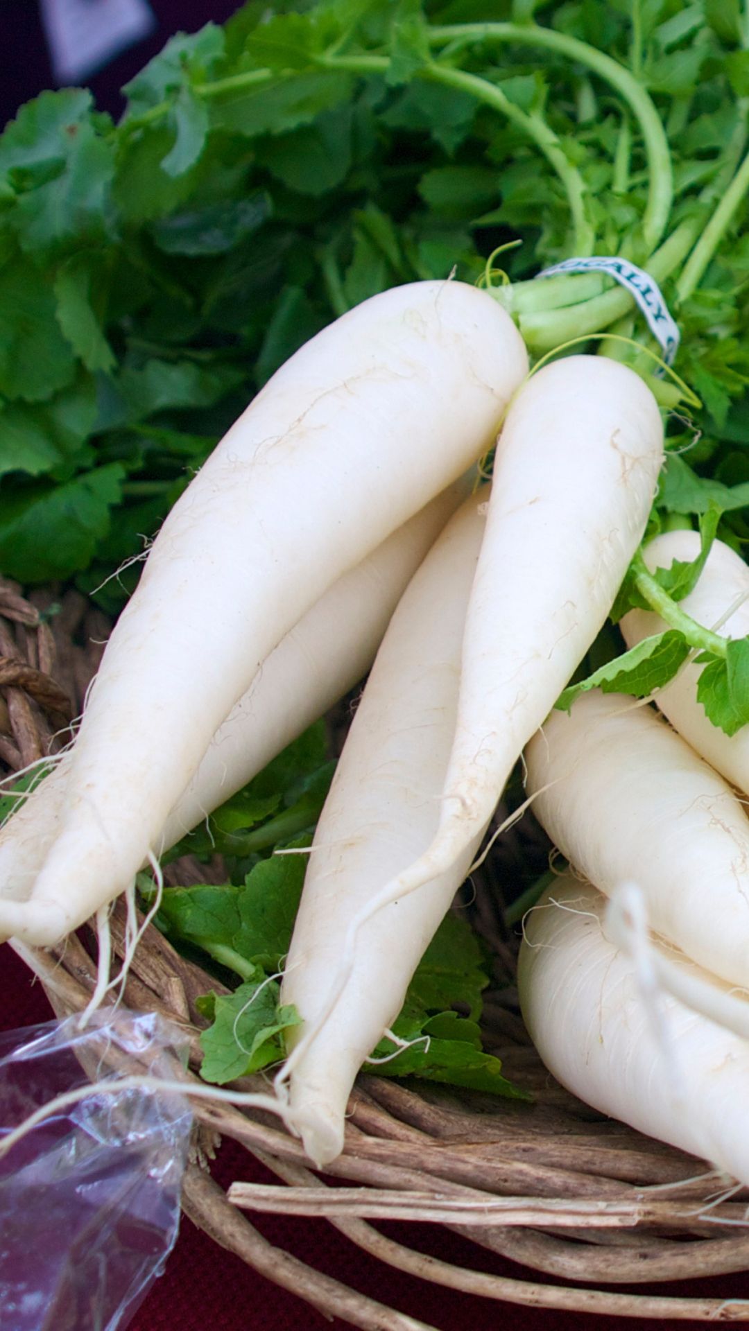health benefits of radish