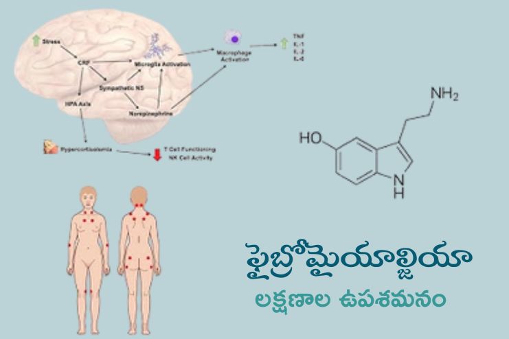 improve symptoms of fibromyalgia