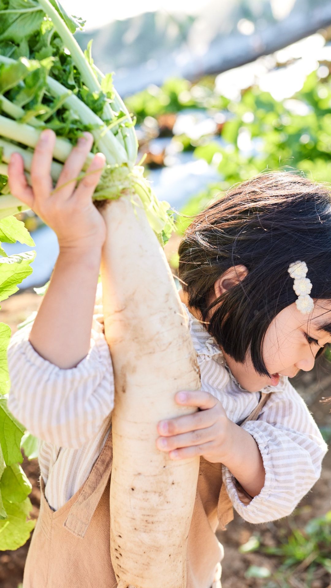 radish nutrition and wellness