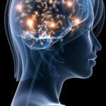 Active brain function_ Rosemary