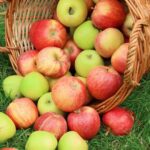 Apples – Quercetin Boost