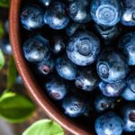 Blueberries – Brain Protectors