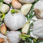 Empty stomach garlic