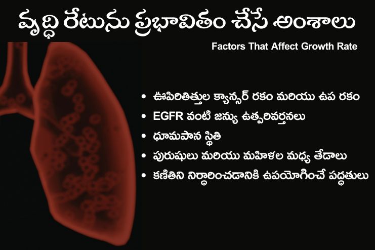 Factors That Affect Growth Rate