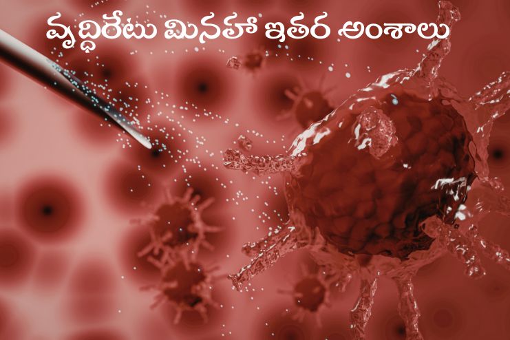 Factors other than Growth rate