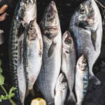Fatty Fish – Anti-Inflammatory Protein