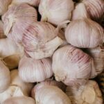 Garlic – Immune Defense