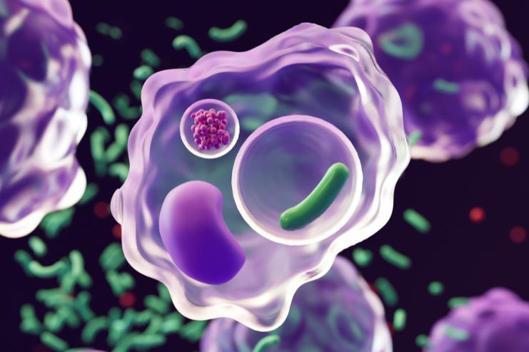 Growth Rate Varies at Different Stages