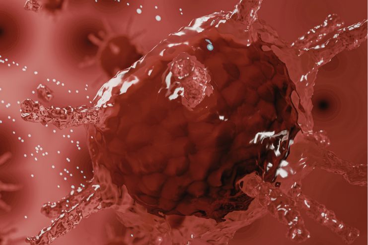 Not All Cells Divide at the Same Time