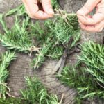 Rich in powerful antioxidants_ Rosemary