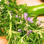 Rosemary Benefits From Brain Boost