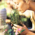Rosemary health benefits