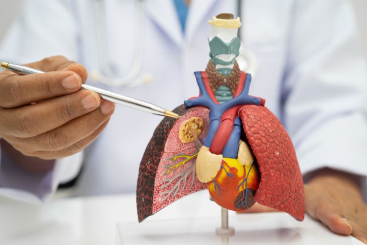 Science of Lung Cancer Cell Growth