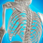 Supports bone strength