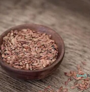 అవిసె గింజల యొక్క 10 ఆశ్చర్యకరమైన ఆరోగ్య ప్రయోజనాలు Surprising Health Benefits of Flaxseeds