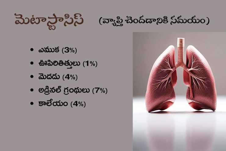 Time to Spread (Metastasis)