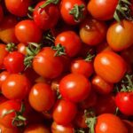 Tomatoes – Lycopene Protection