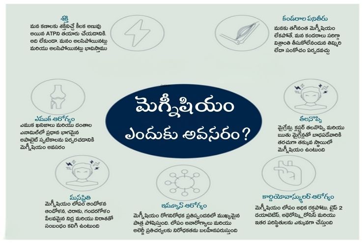 Why is Magnesium Necessary
