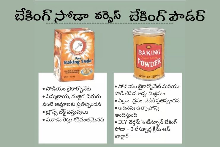 what is the difference