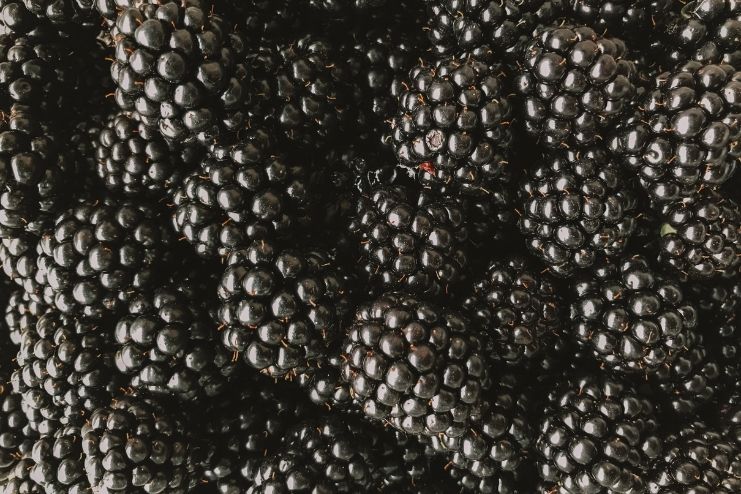 Blackberries