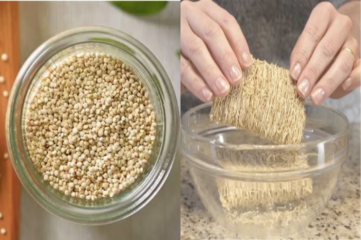 Fiber-rich whole grains