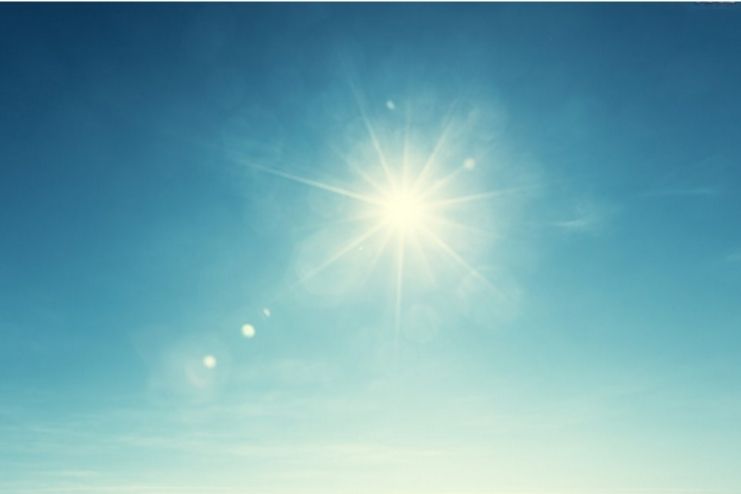 How Much Sunlight You Need