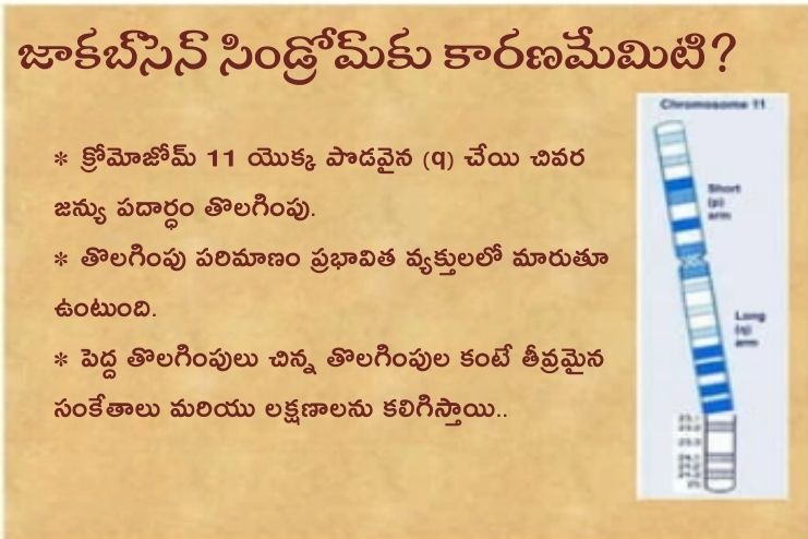 Jacobsen syndrome causes