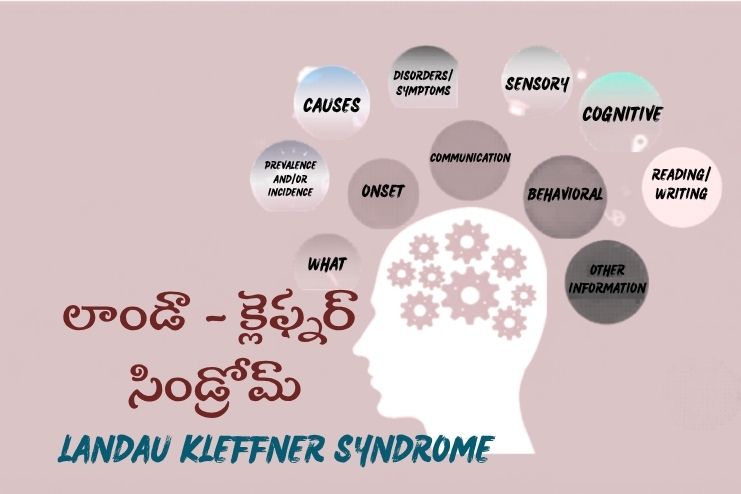 లాండౌ క్లెఫ్నర్ సిండ్రోమ్: కారణాలు, లక్షణాలు, చికిత్స - <span class='sndtitle'></img>Landau-Kleffner Syndrome: Symptoms, Causes, and Treatment </span>
