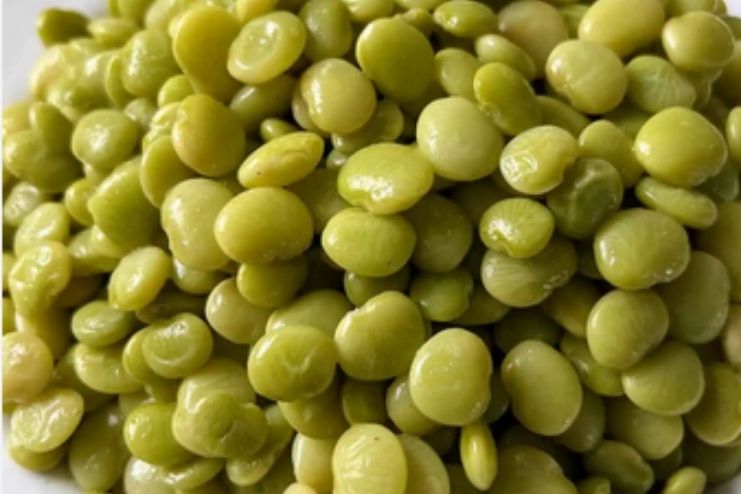 Lima beans (cooked)
