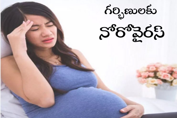 Norovirus during pregnancy