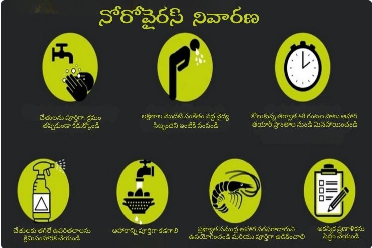 Norovirus prevention