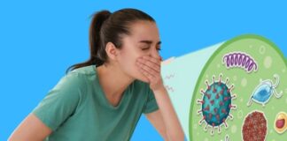 నోరోవైరస్: లక్షణాలు, చికిత్స మరియు నివారణ - Norovirus: Symptoms, Treatment and Prevention Norovirus_ Symptoms, Treatment and Prevention