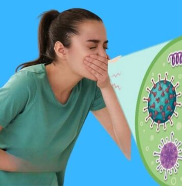 నోరోవైరస్: లక్షణాలు, చికిత్స మరియు నివారణ Norovirus_ Symptoms, Treatment and Prevention