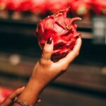 Rich in Essential Nutrients Dragon fruit