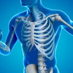 Strengthens Bones
