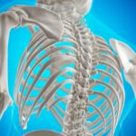 Strengthens bones