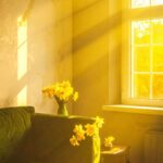 Summer sunlight benefits