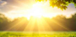 సూర్యరశ్మి: ఆరోగ్య ప్రయోజనాలు మరియు ప్రమాద కారకాలు - Sunlight- Health Benefits, Risks, and How Much You Need Sunlight- Health Benefits