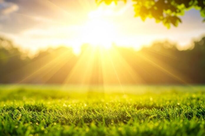 Sunlight- Health Benefits