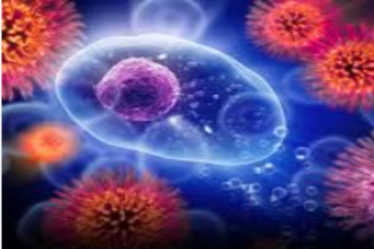 Sunlight and Immune System Support