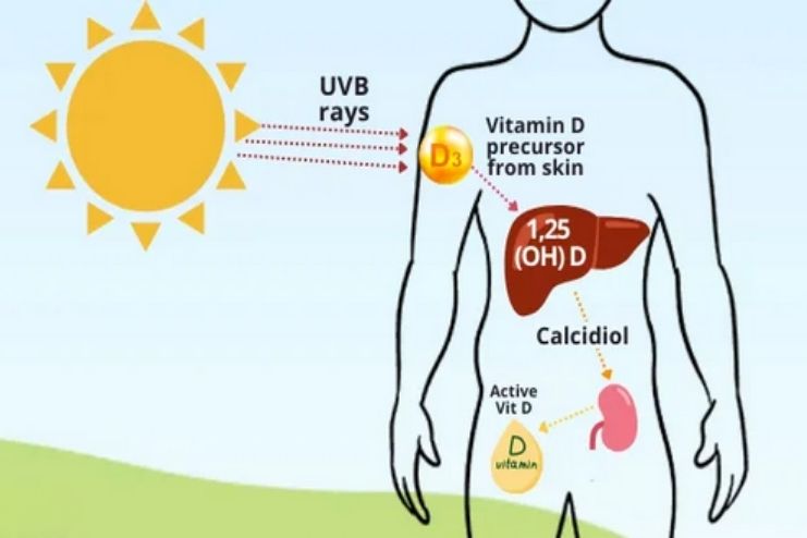 Sunlight and Vitamin D Production
