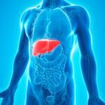 Supports Liver Health_ Flaxseeds