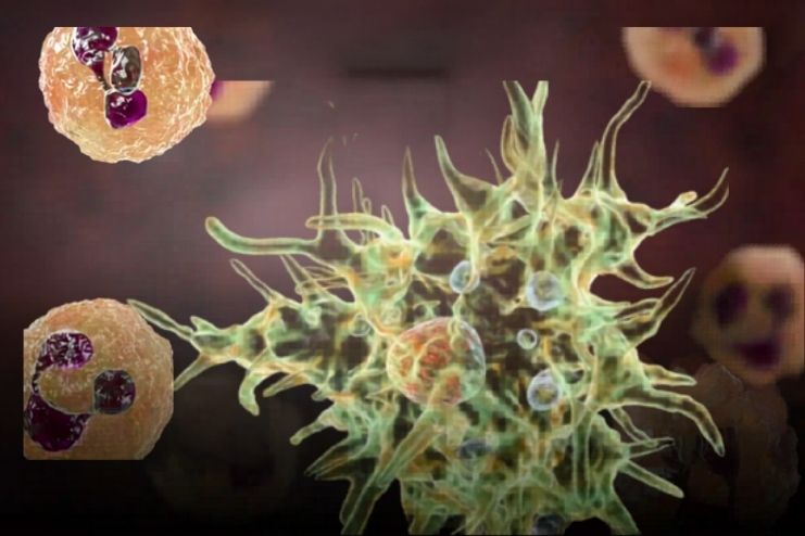 Understanding acanthamoeba 2