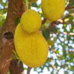 A Natural Body-Cooling Effect