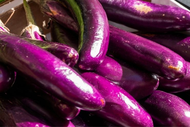 Benefits of Eggplant