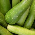 Bottle Gourd