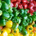 Capsicum A Colorful Source of Hydration